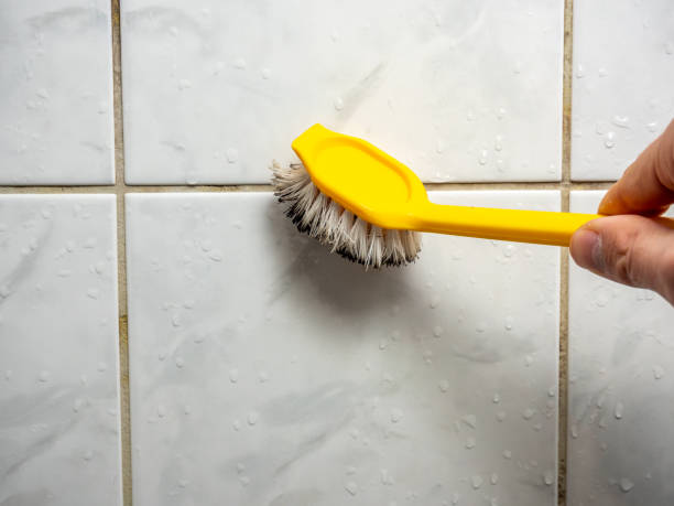 Suamico, WI Mold Remediation Company