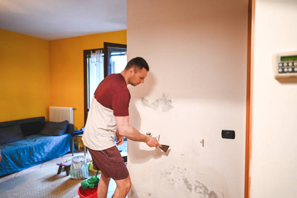 Best Emergency Mold Remediation in Suamico, WI
